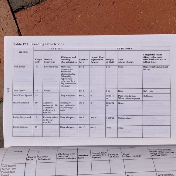 2 Dog Care Female The Labrador Retriever Canine Vintage Black Lab Books Animals - Picture 9 of 14